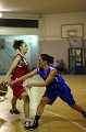 Basket 443014